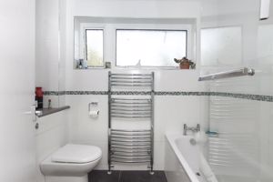 Photo 9- click for photo gallery